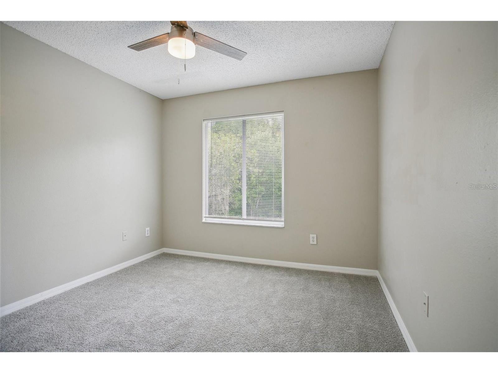18181 Paradise Point Drive Tampa FL 33647 TB8513535 image25