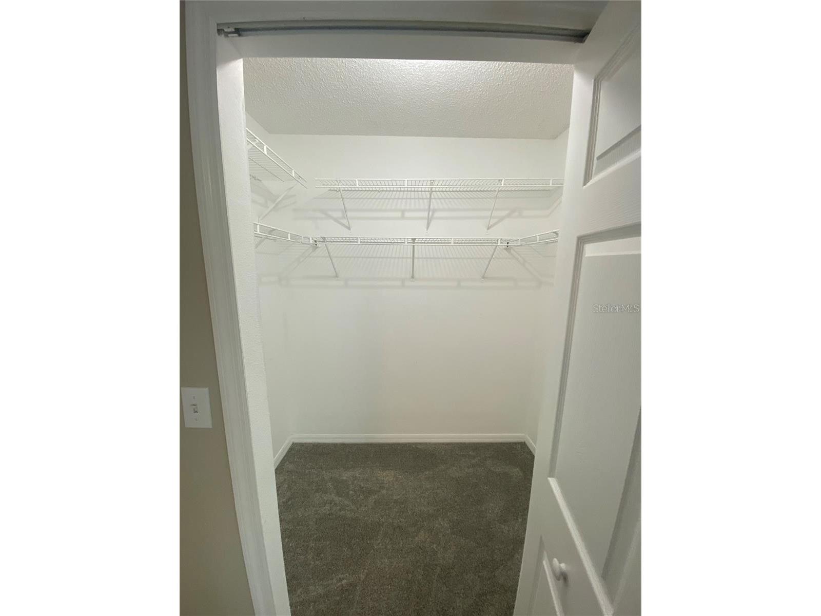 18181 Paradise Point Drive Tampa FL 33647 TB8513535 image28