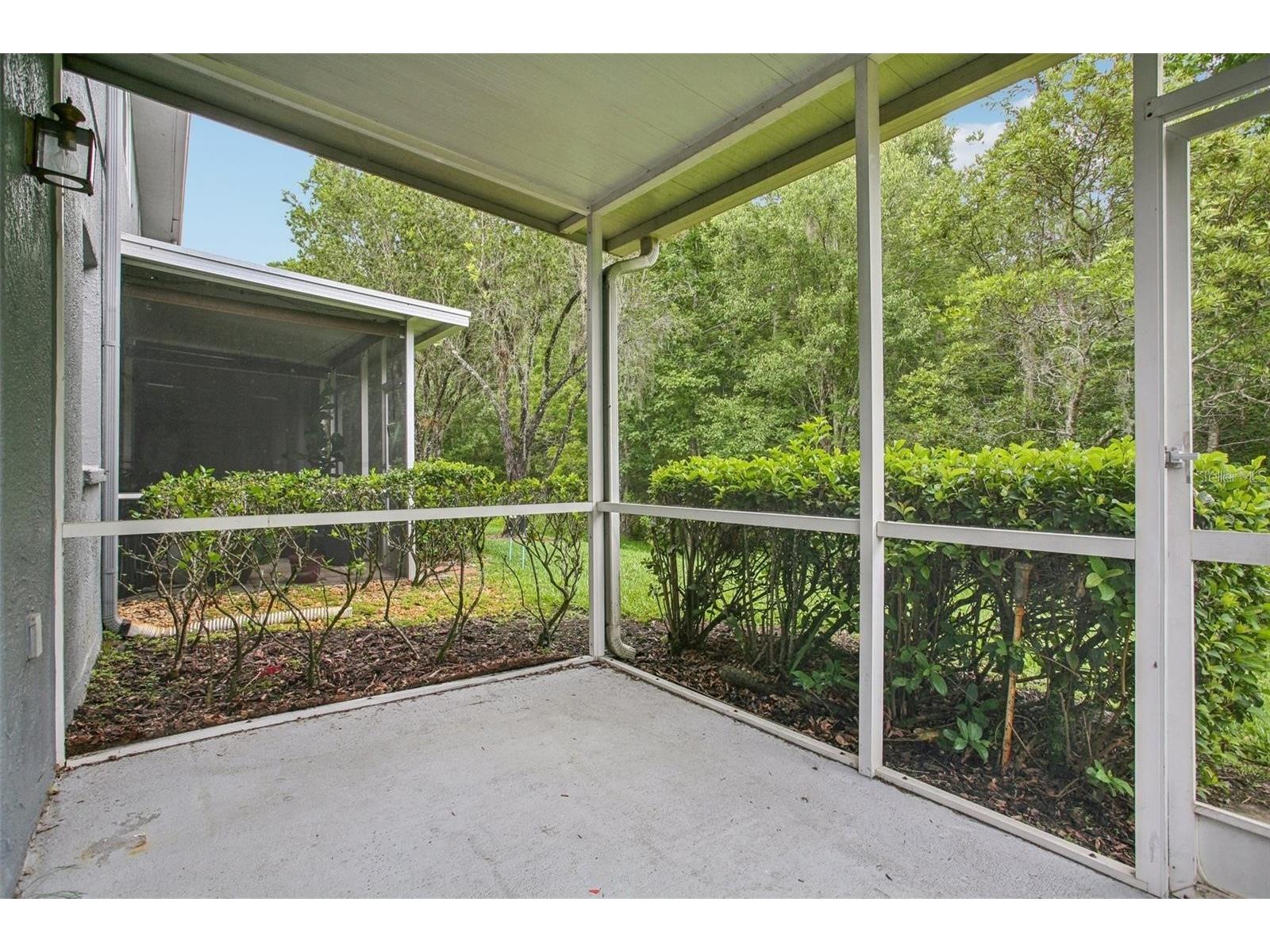 18181 Paradise Point Drive Tampa FL 33647 TB8513535 image34
