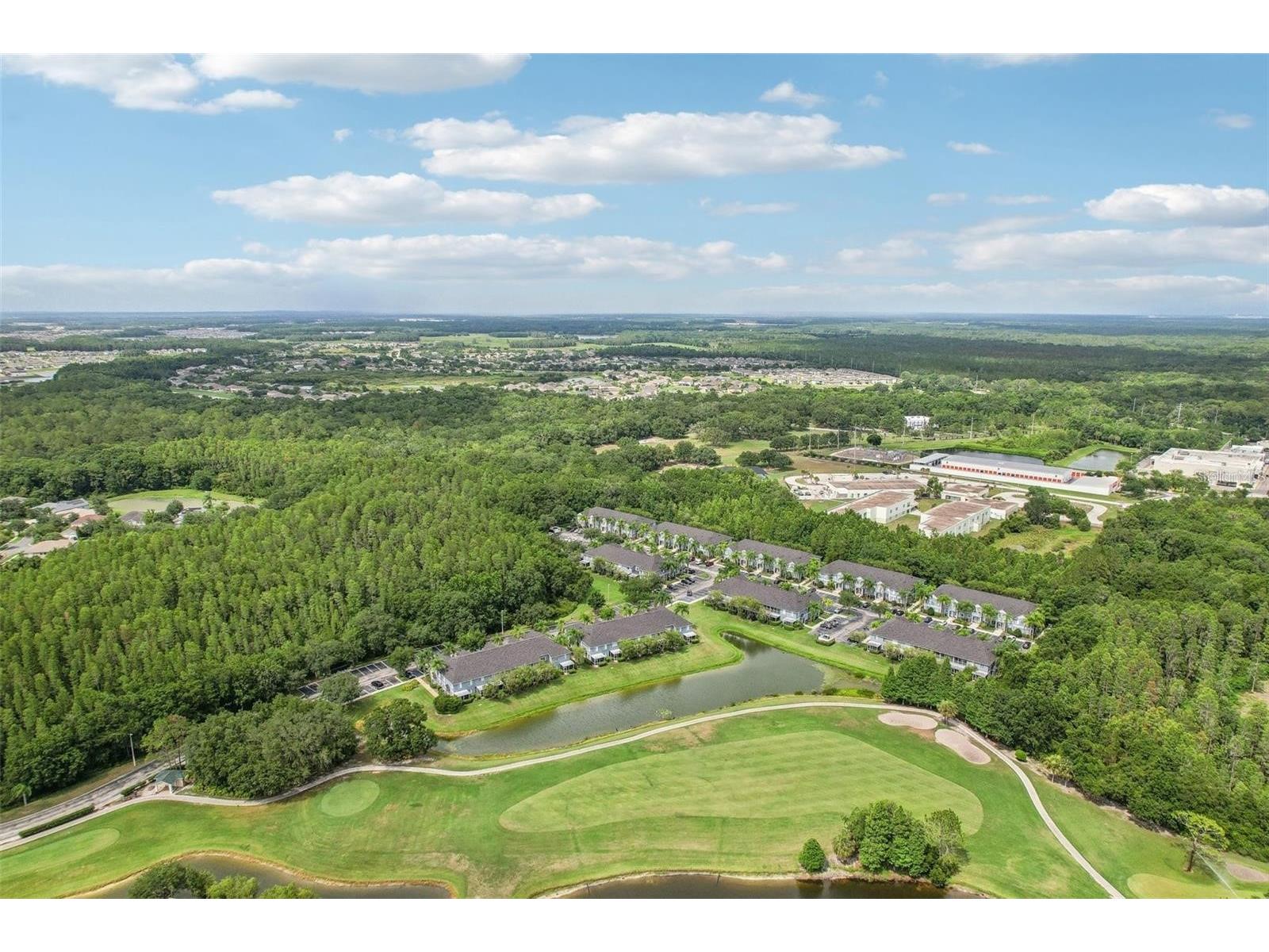 18181 Paradise Point Drive Tampa FL 33647 TB8513535 image8
