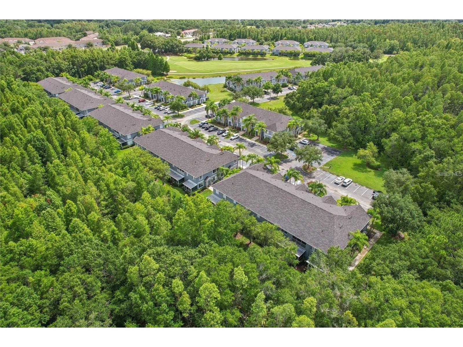 18181 Paradise Point Drive Tampa FL 33647 TB8513535 image9