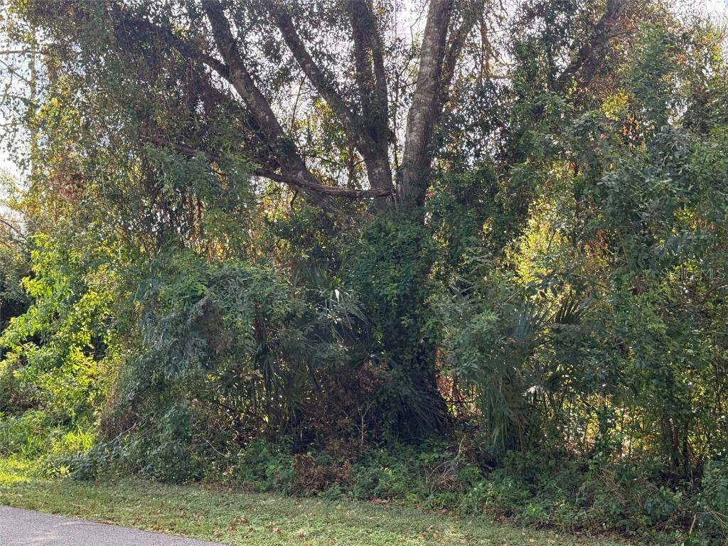 18183 Windingvail Avenue Port Charlotte FL 33948 N6135371 image1