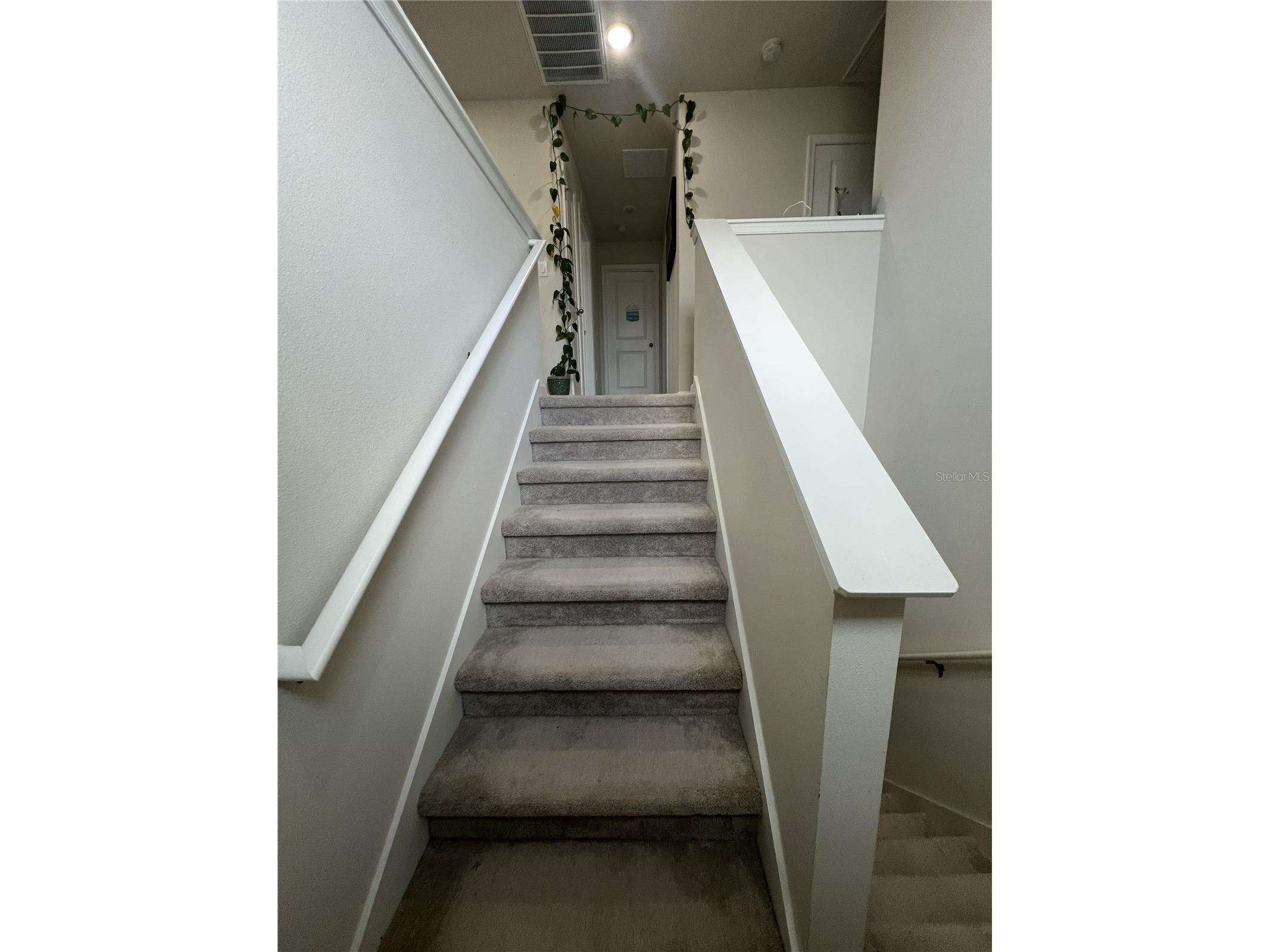 18184 Hunters Meadow Walk Land O Lakes FL 34638 TB8464446 image13