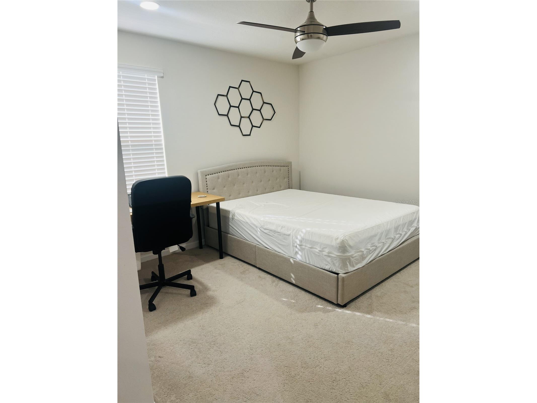 18184 Hunters Meadow Walk Land O Lakes FL 34638 TB8464446 image18