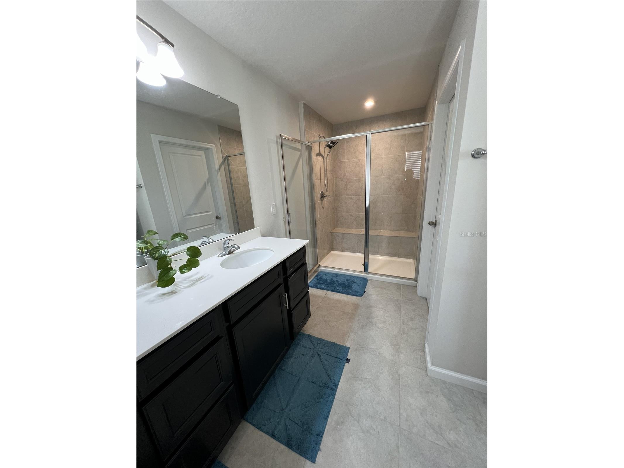 18184 Hunters Meadow Walk Land O Lakes FL 34638 TB8464446 image25