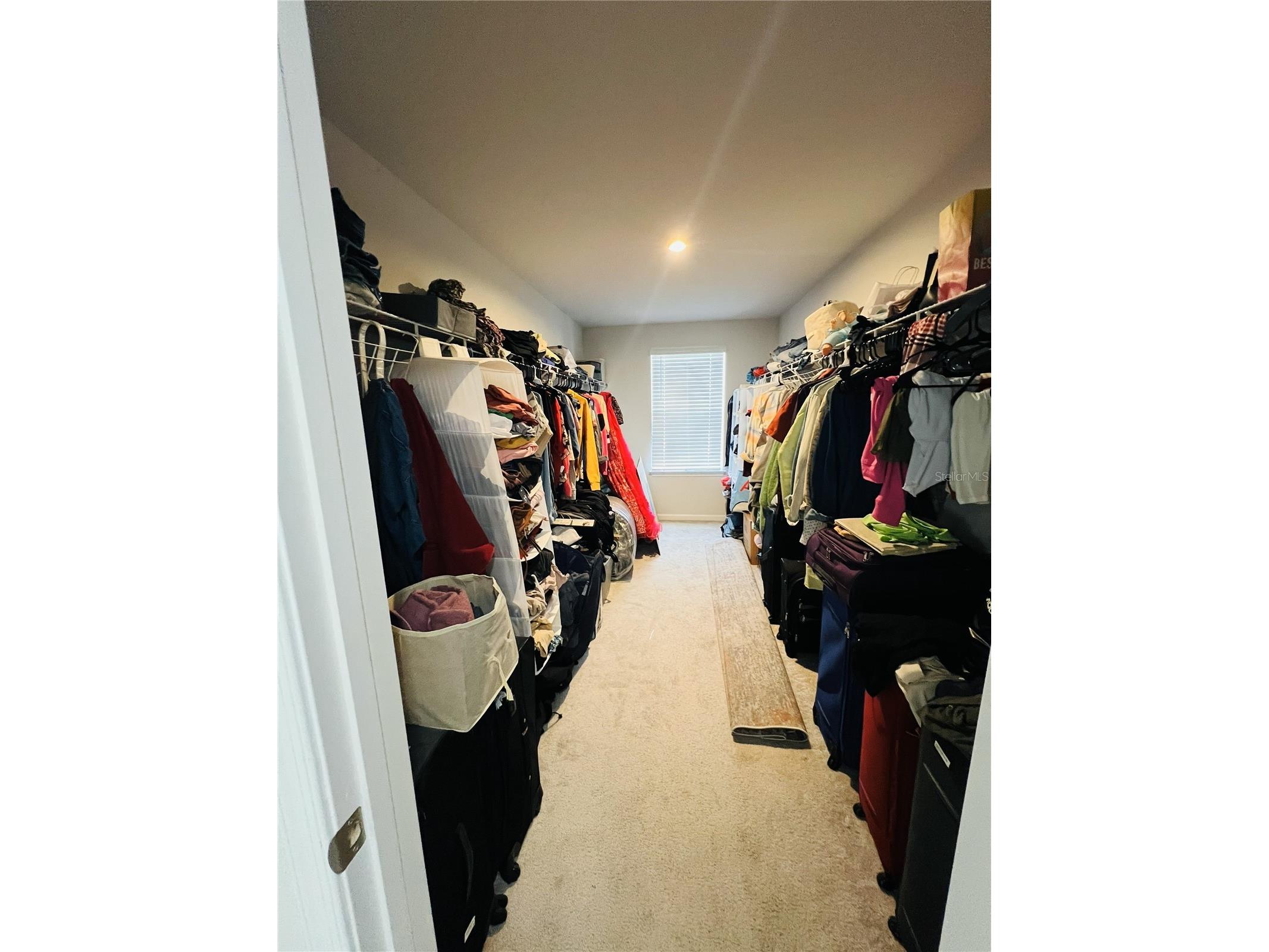 18184 Hunters Meadow Walk Land O Lakes FL 34638 TB8464446 image27