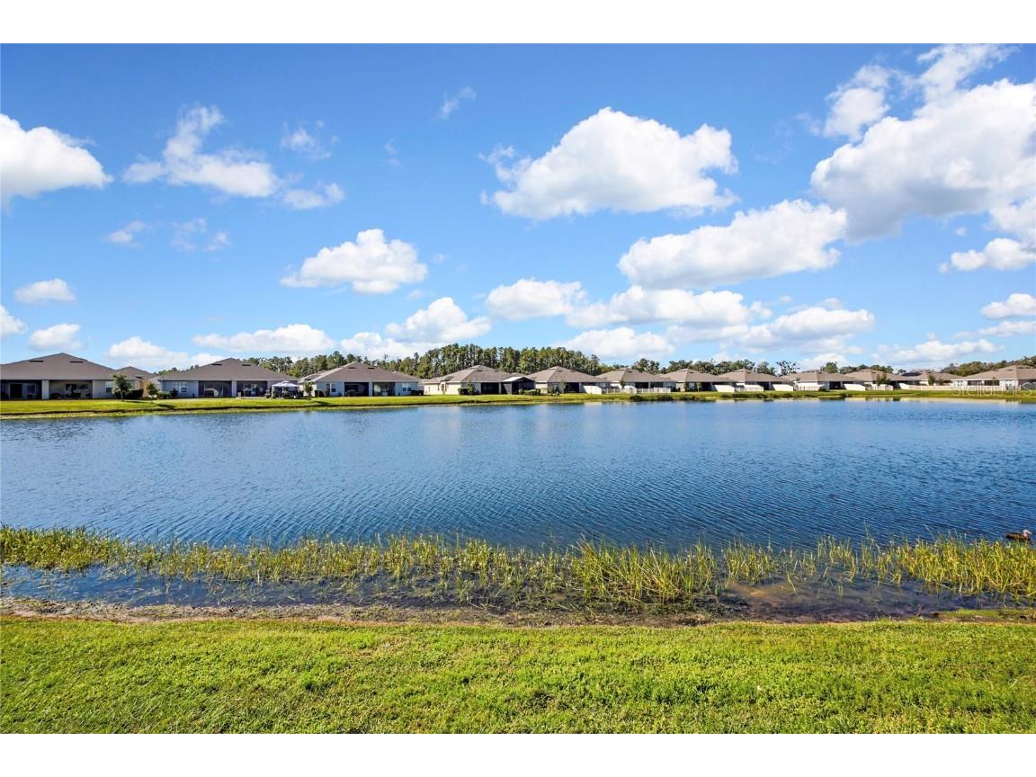 18184 Turning Leaf Circle Land O Lakes FL 34638 TB8440494 image36