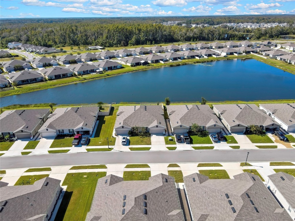 18184 Turning Leaf Circle Land O Lakes FL 34638 TB8440494 image40