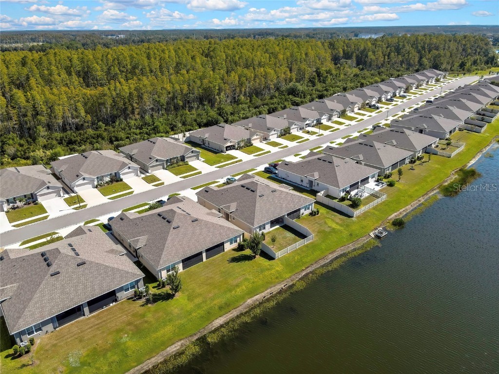 18184 Turning Leaf Circle Land O Lakes FL 34638 TB8440494 image45