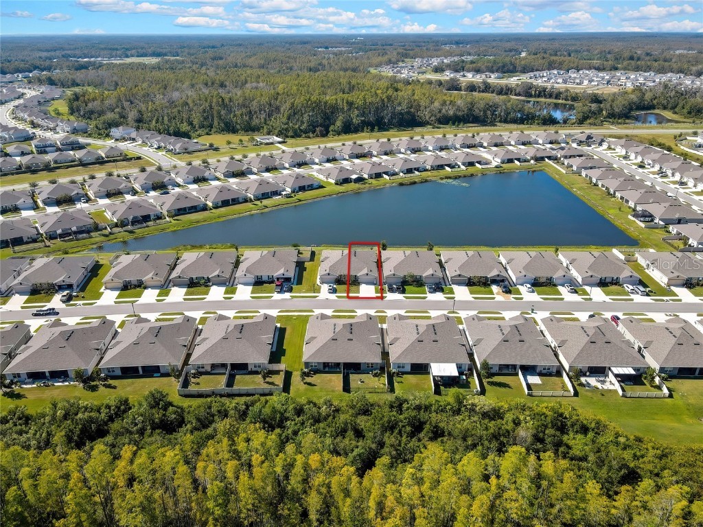 18184 Turning Leaf Circle Land O Lakes FL 34638 TB8440494 image5