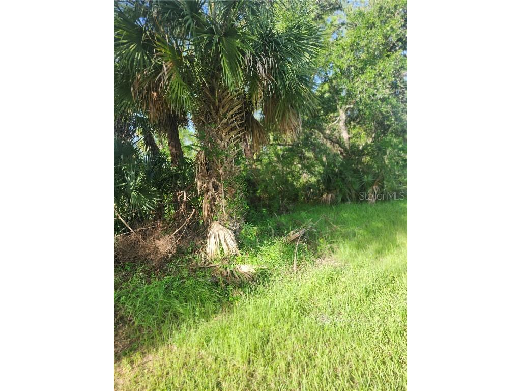 18185 Poston Avenue Port Charlotte FL 33948 OM706736 image7