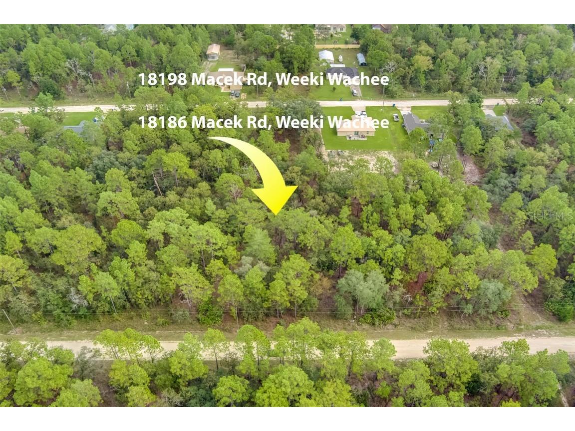 18186 Macek Road Weeki Wachee FL 34614 U8174249 image1