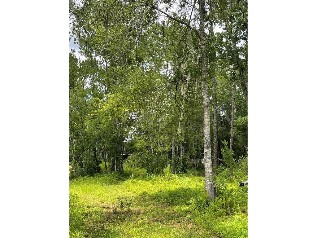 1819 Blazers Trail Lakeland FL 33809 B4901297 image1