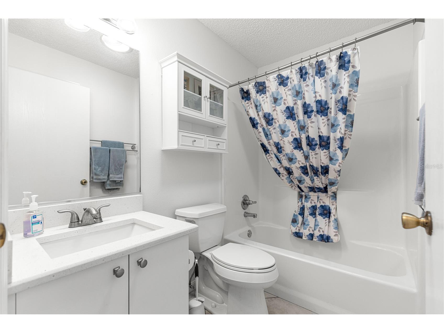 1819 Captiva Court The Villages FL 32162 G5106889 image14