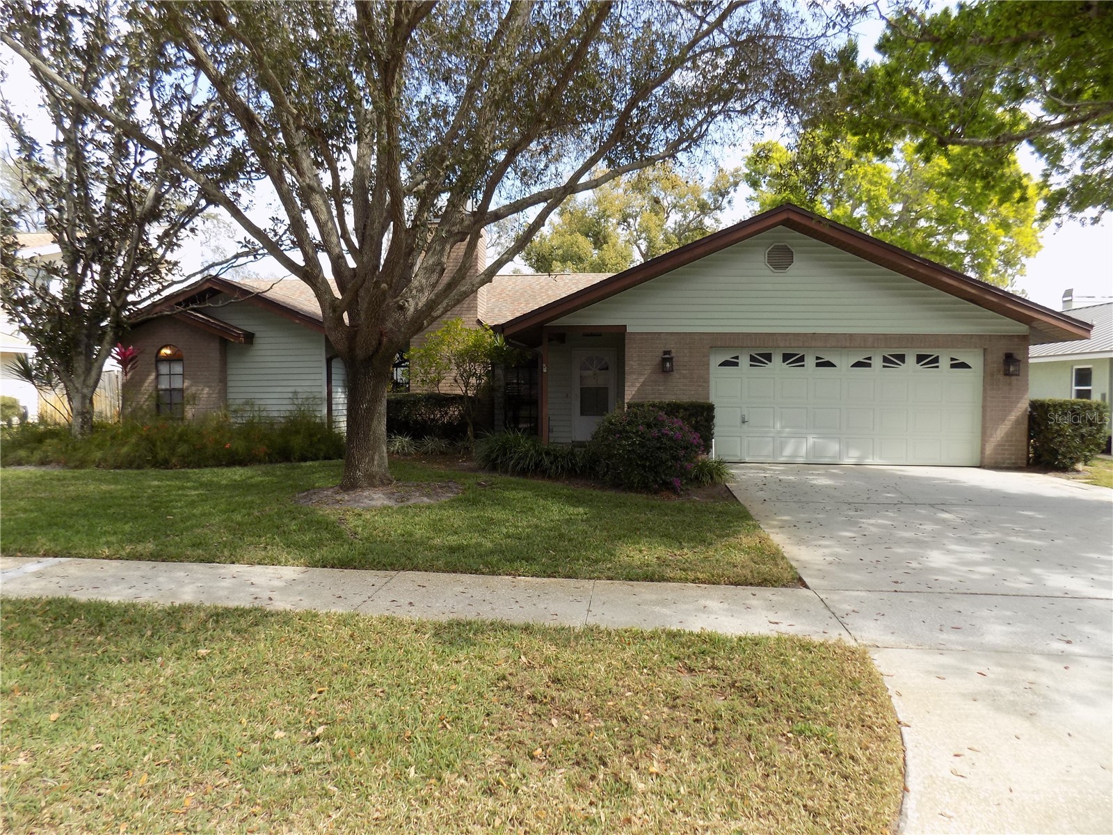 1819 Juanita Court Clearwater FL 33764 TB8480526 image1