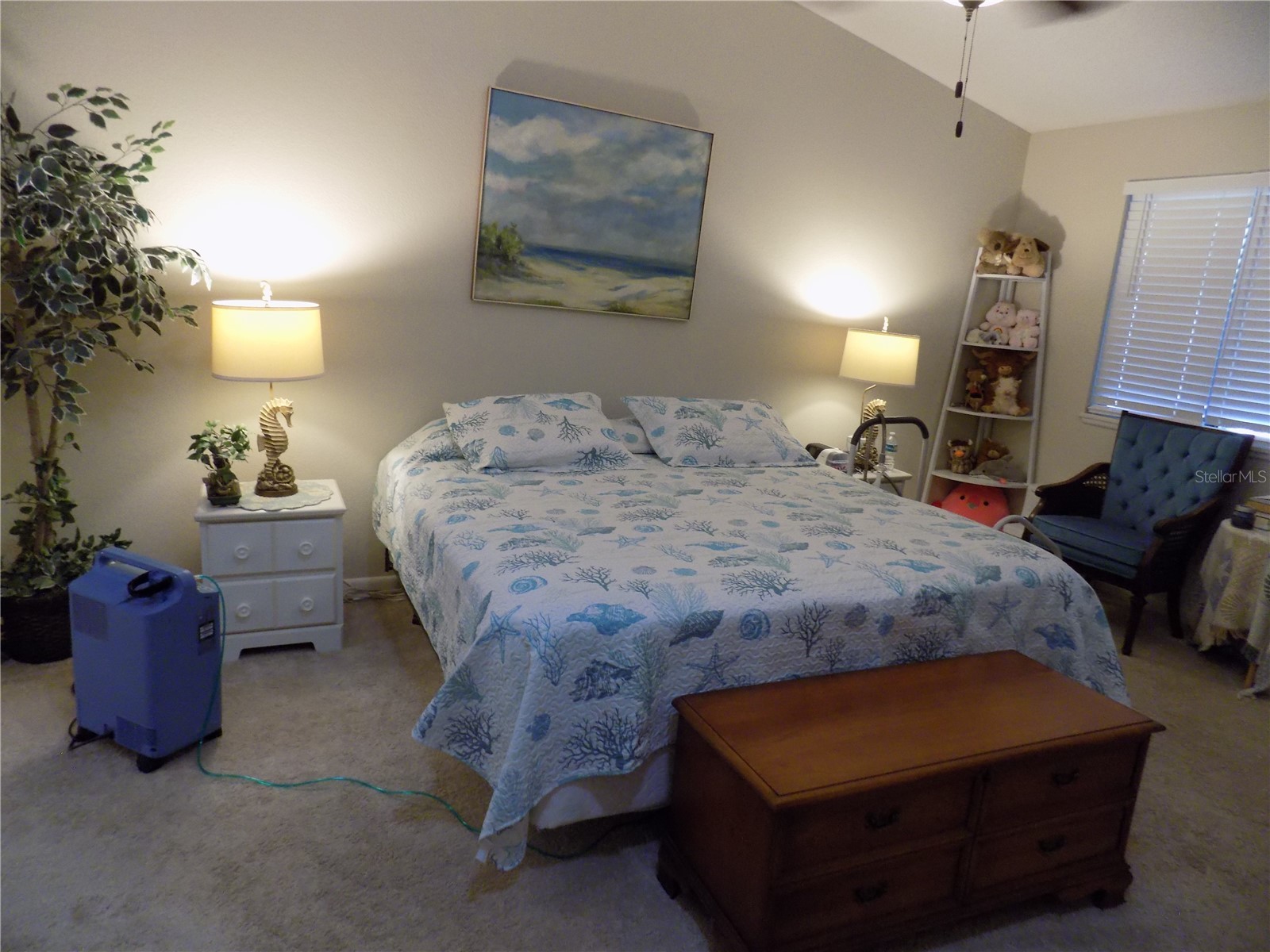 1819 Juanita Court Clearwater FL 33764 TB8480526 image9