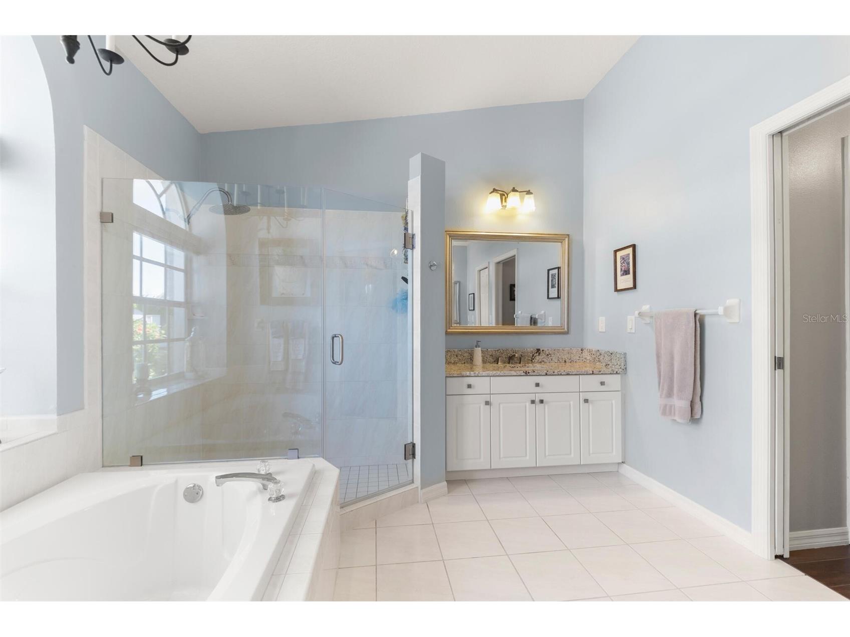 1819 Latelia Court Trinity FL 34655 O6403113 image21
