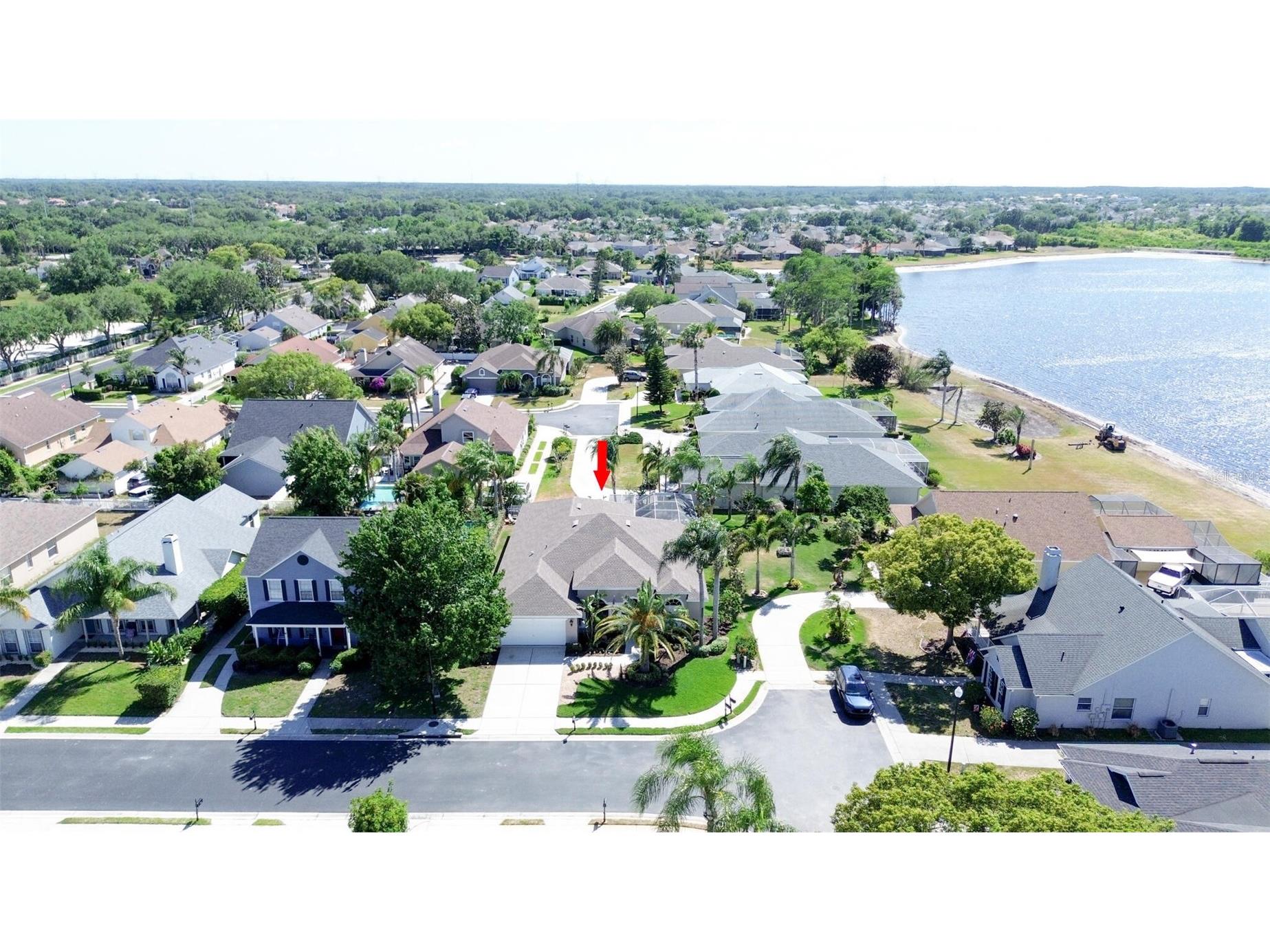 1819 Latelia Court Trinity FL 34655 O6403113 image3