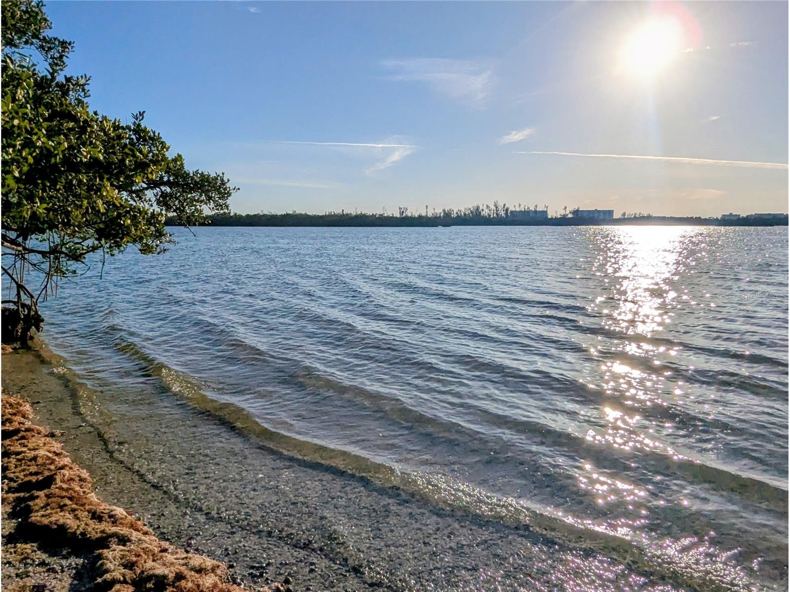 1819 Mova Street Sarasota FL 34231 - INTRACOASTAL & GULF OF AMERICA A4676090 image36