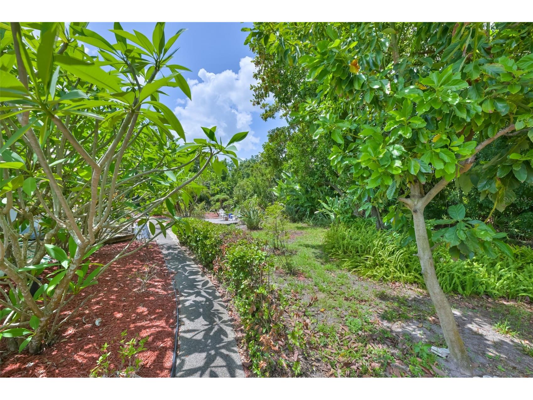 1819 New Bedford Drive Sun City Center FL 33573 TB8513750 image62