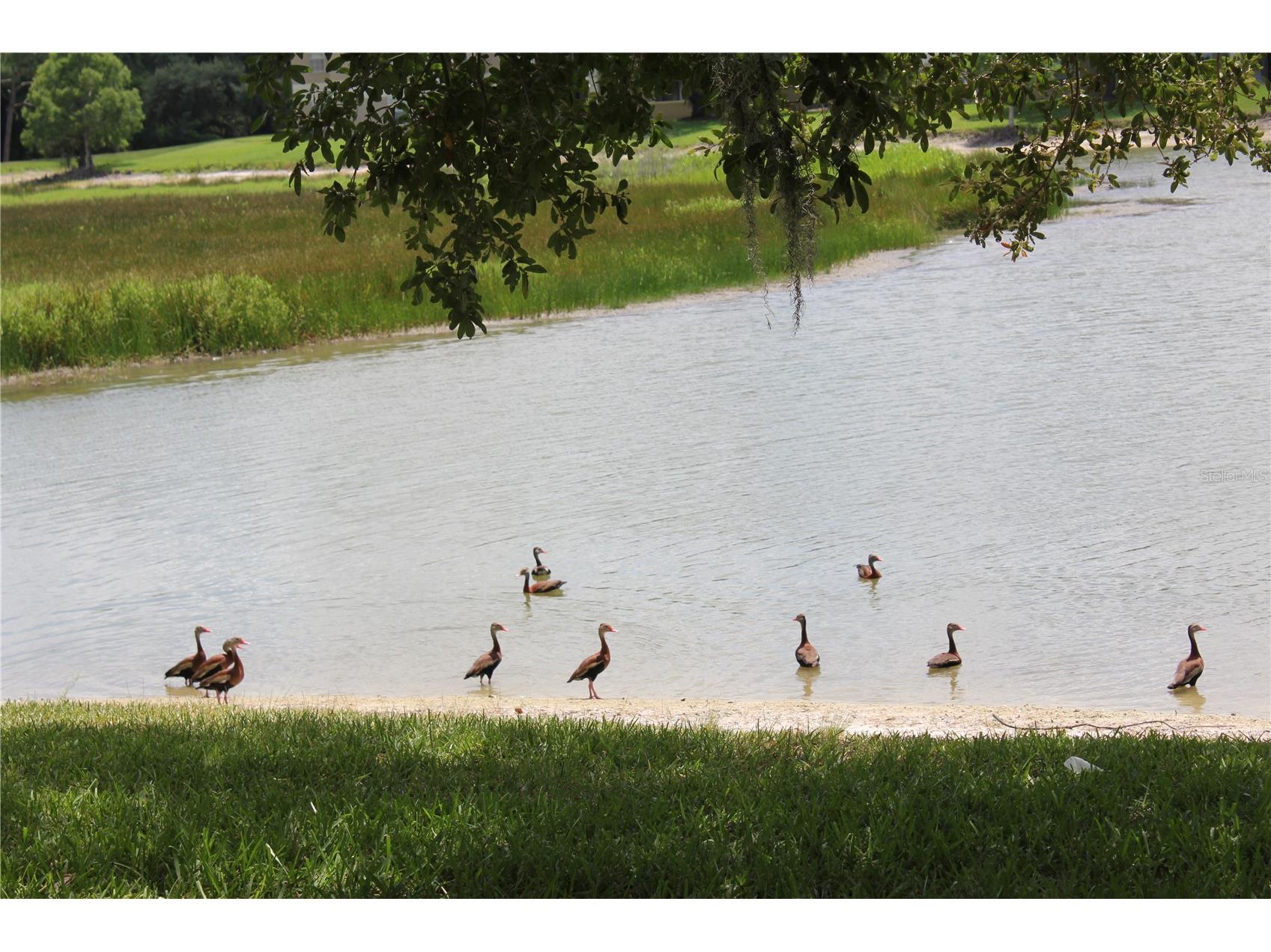 1819 Sandhill Lane Winter Haven FL 33884 K4903563 image11