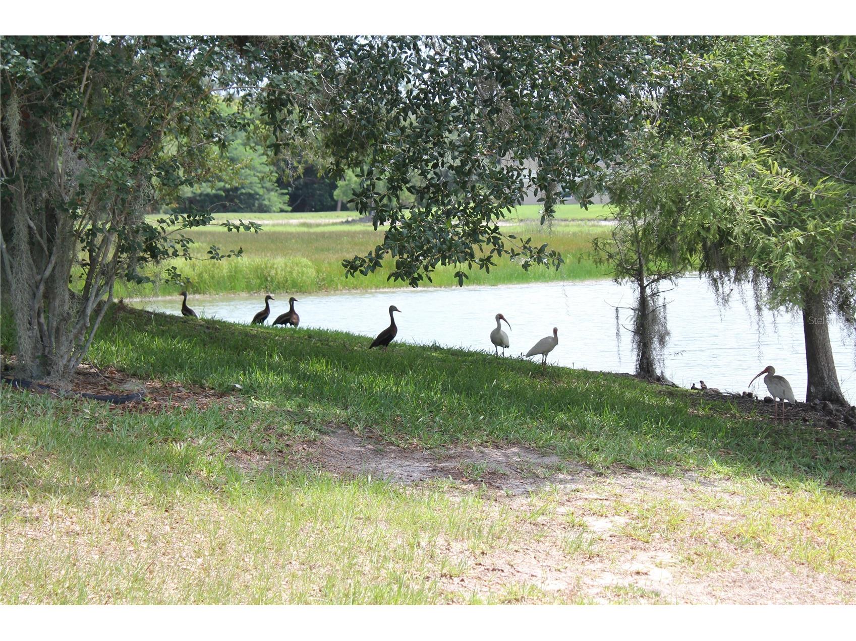 1819 Sandhill Lane Winter Haven FL 33884 K4903563 image4