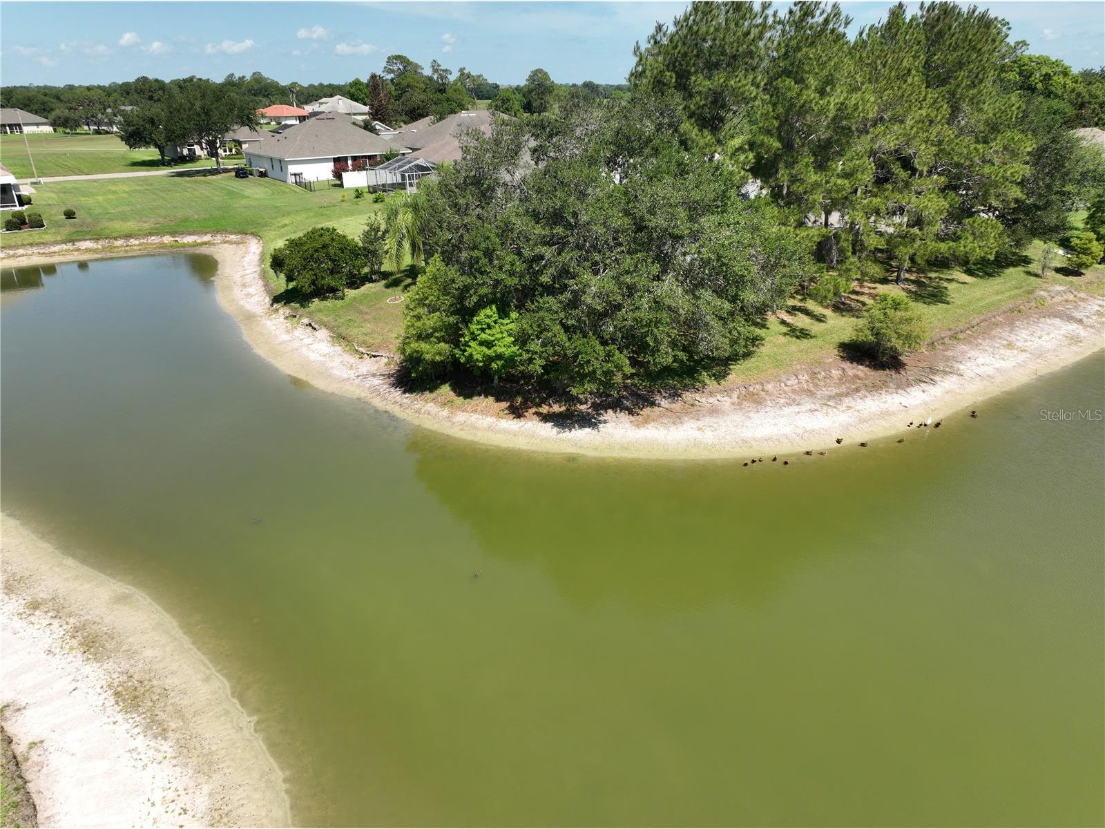 1819 Sandhill Lane Winter Haven FL 33884 K4903563 image69