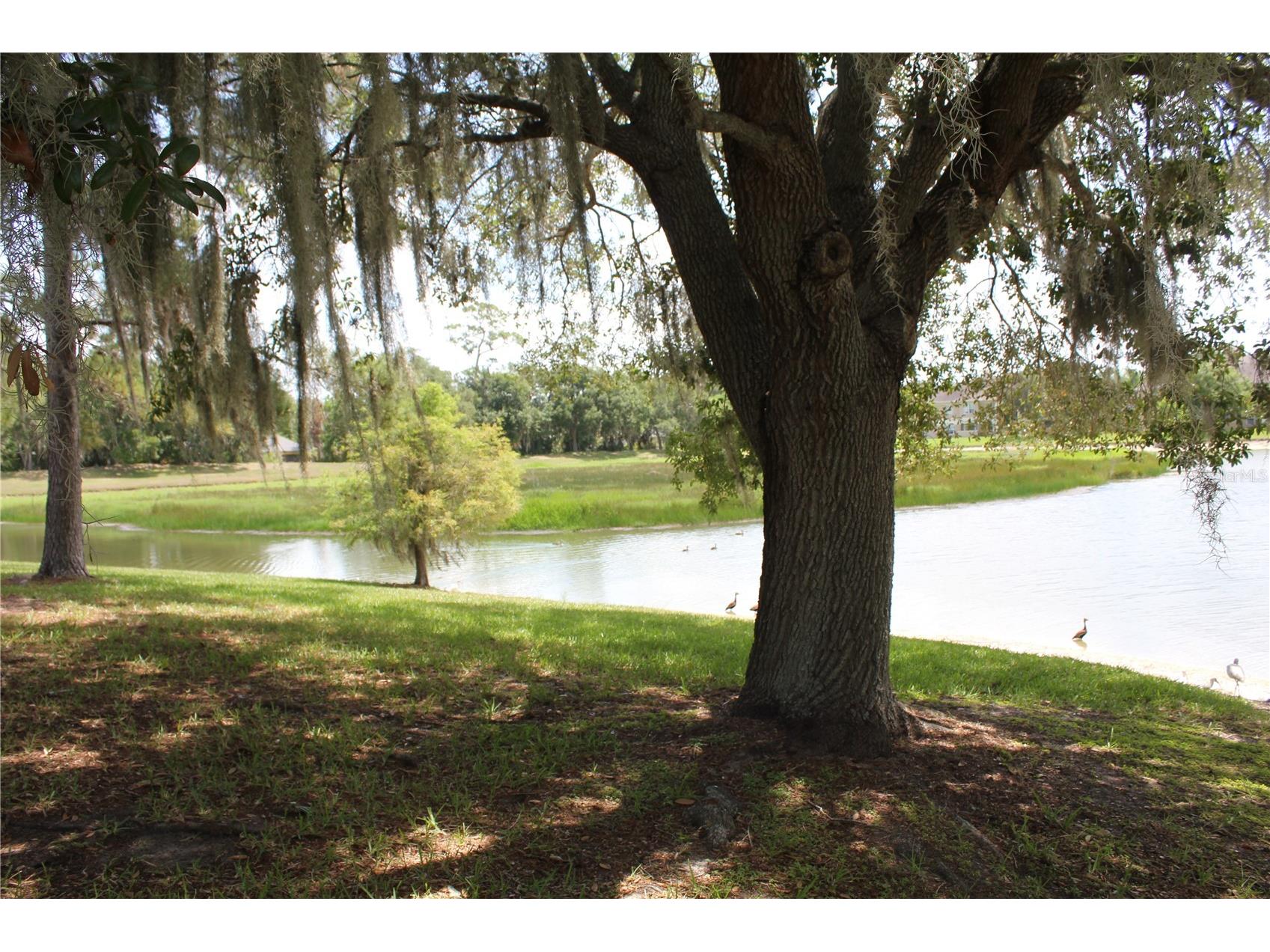 1819 Sandhill Lane Winter Haven FL 33884 K4903563 image7