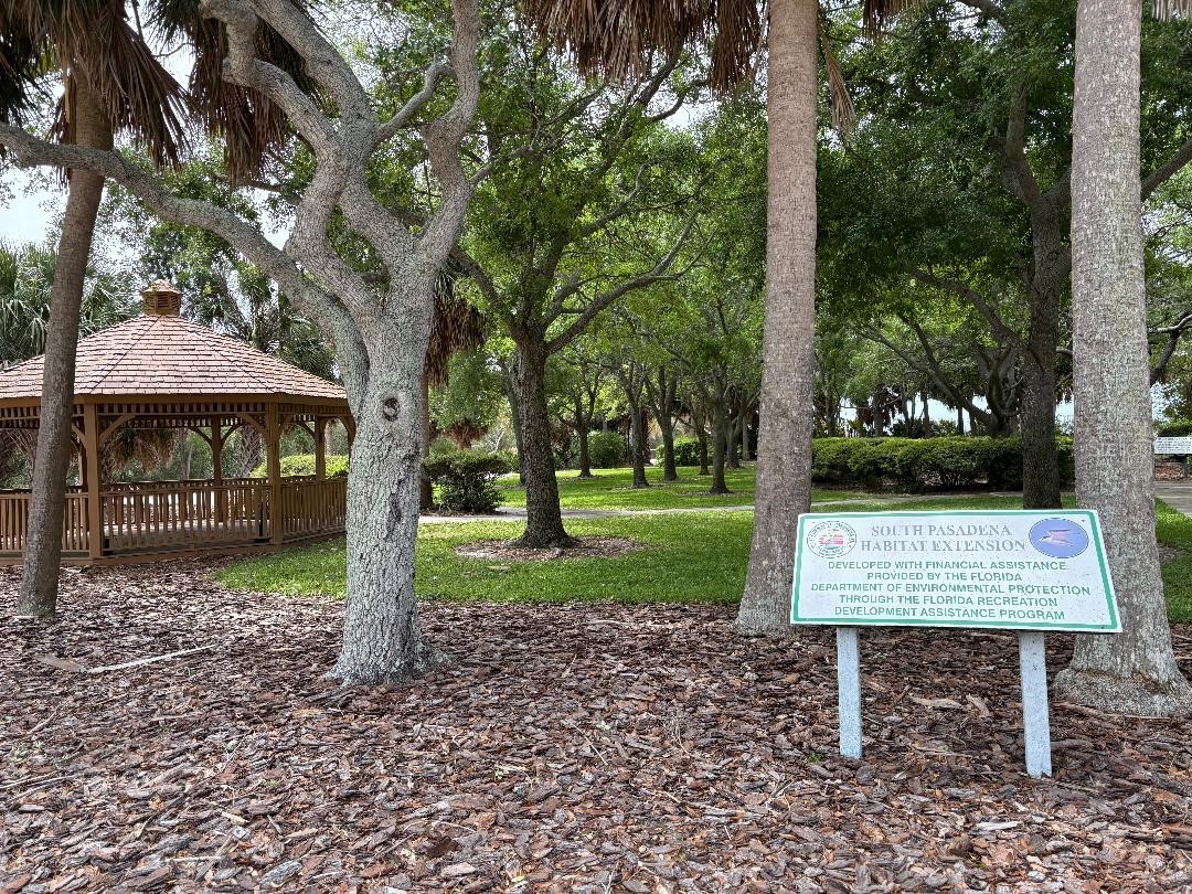 1819 Shore Drive S #318 South Pasadena FL 33707 TB8489184 image76
