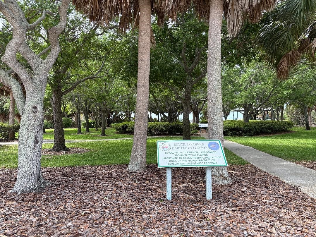 1819 Shore Drive S #318 South Pasadena FL 33707 TB8489184 image77