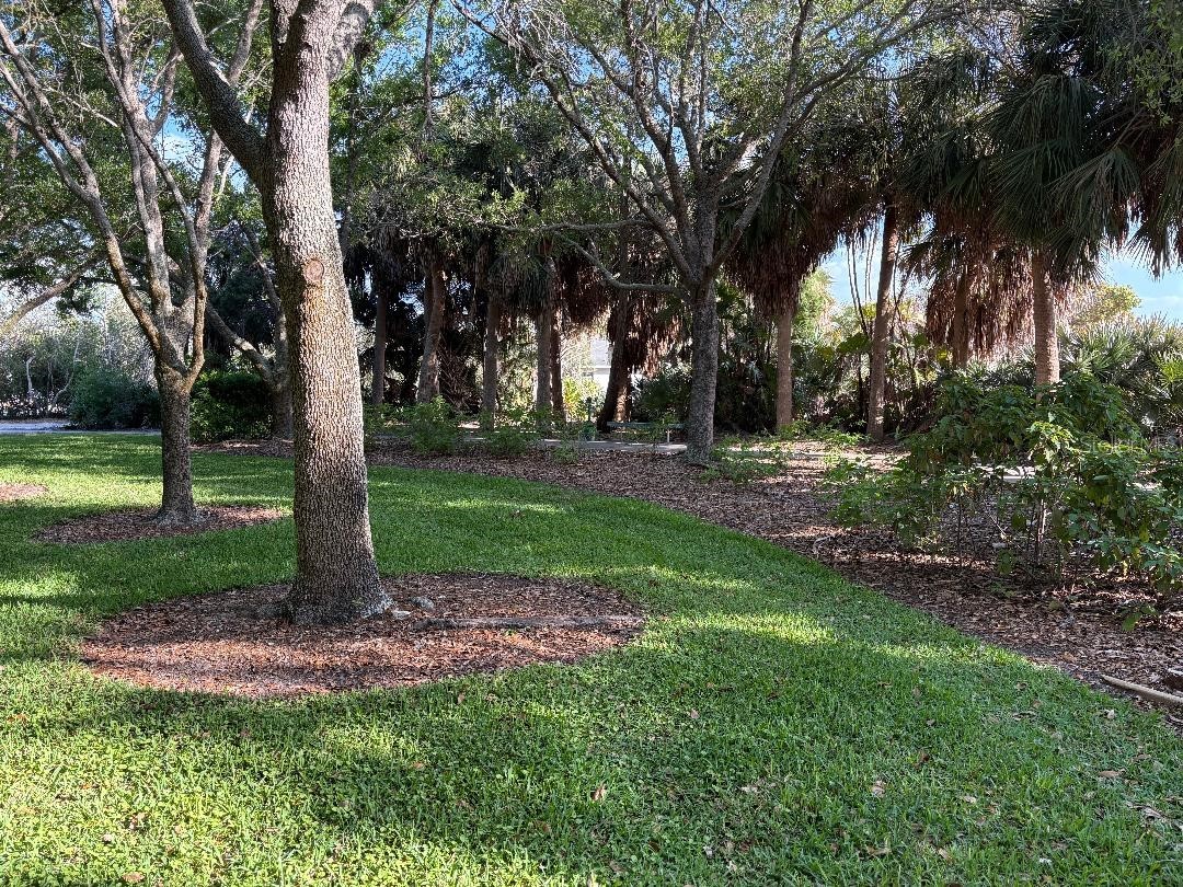 1819 Shore Drive S #318 South Pasadena FL 33707 TB8489184 image78