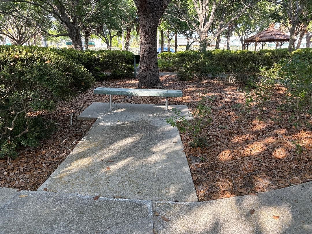1819 Shore Drive S #318 South Pasadena FL 33707 TB8489184 image80