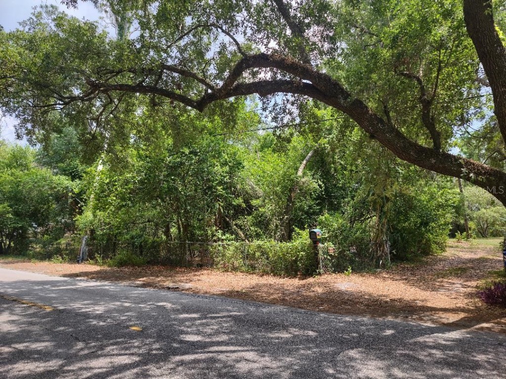 1819 Sinclair Hills Road Lutz FL 33549 TB8384432 image1