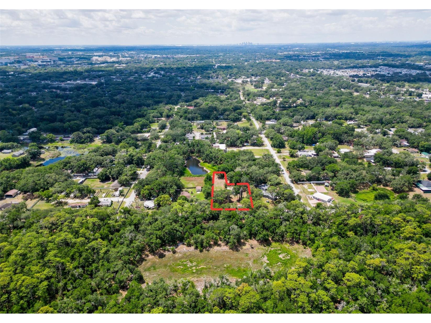 1819 Sinclair Hills Road Lutz FL 33549 TB8506871 image10