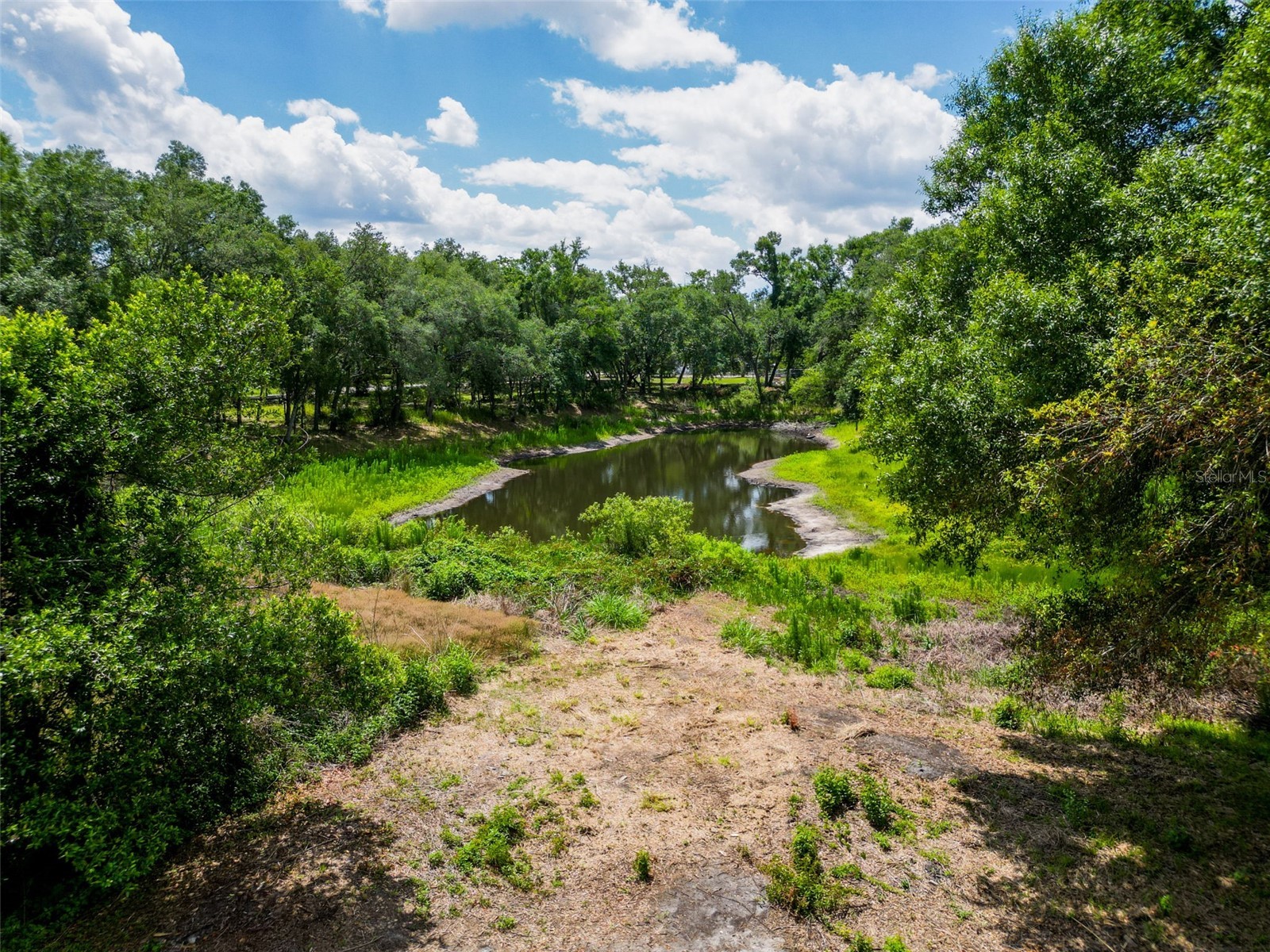 1819 Sinclair Hills Road Lutz FL 33549 TB8506871 image12
