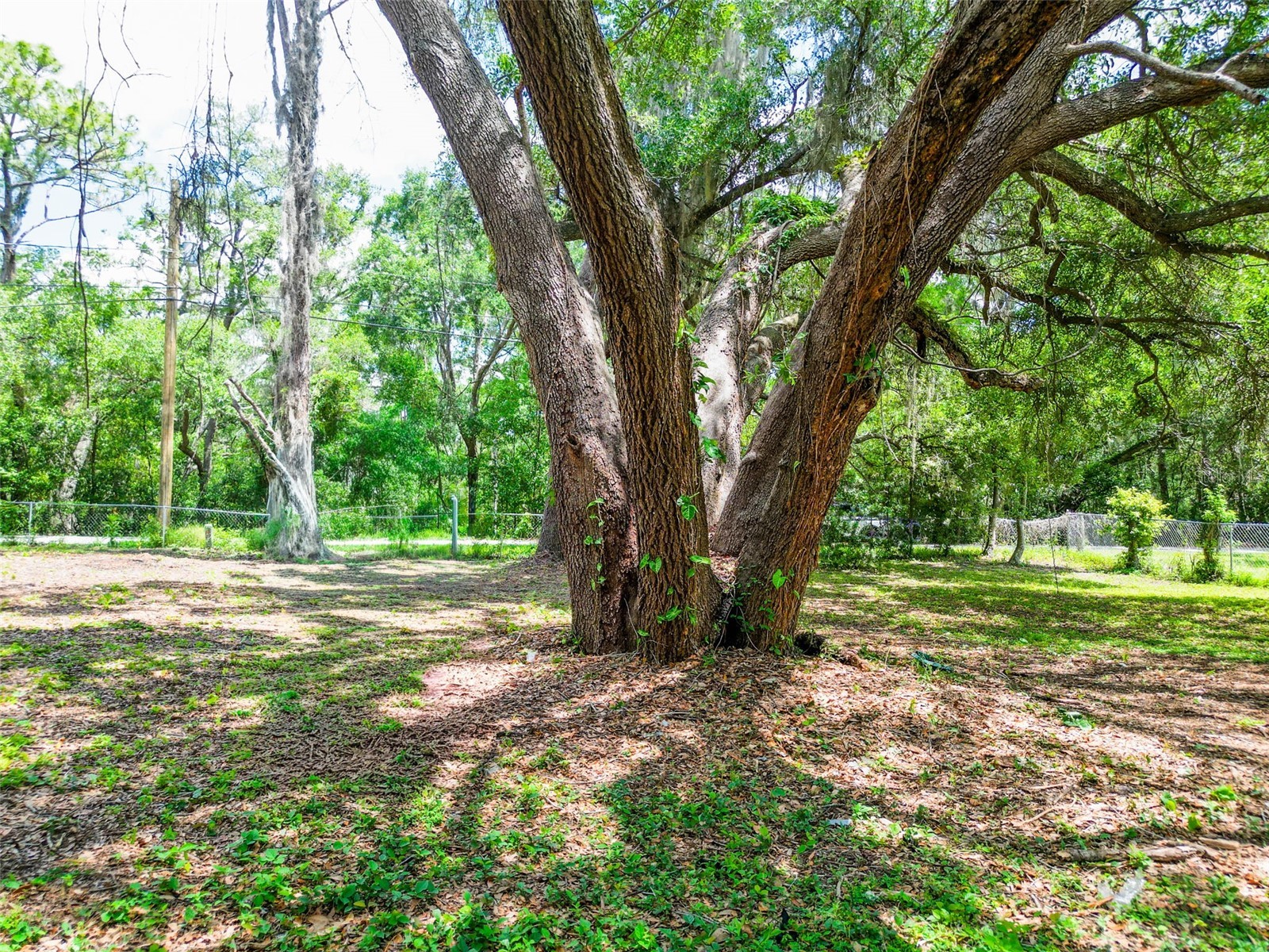 1819 Sinclair Hills Road Lutz FL 33549 TB8506871 image55