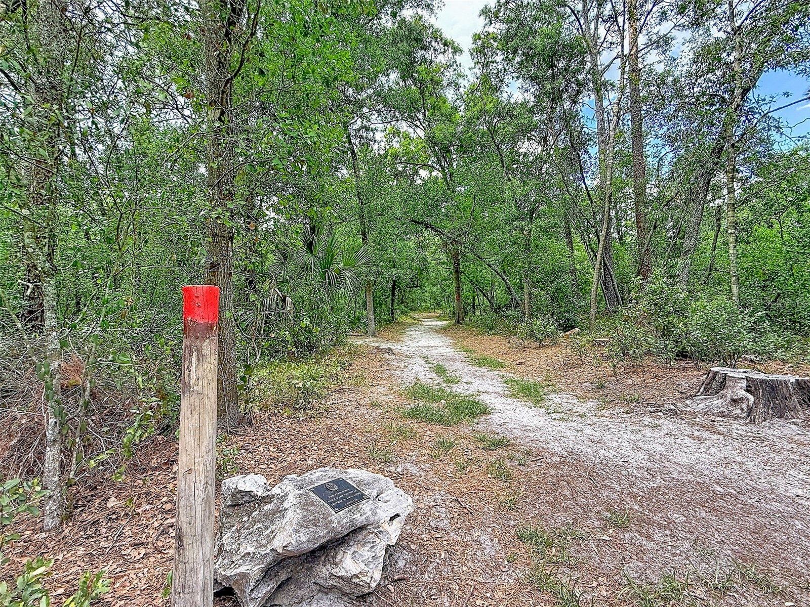1819 Sinclair Hills Road Lutz FL 33549 TB8506871 image59