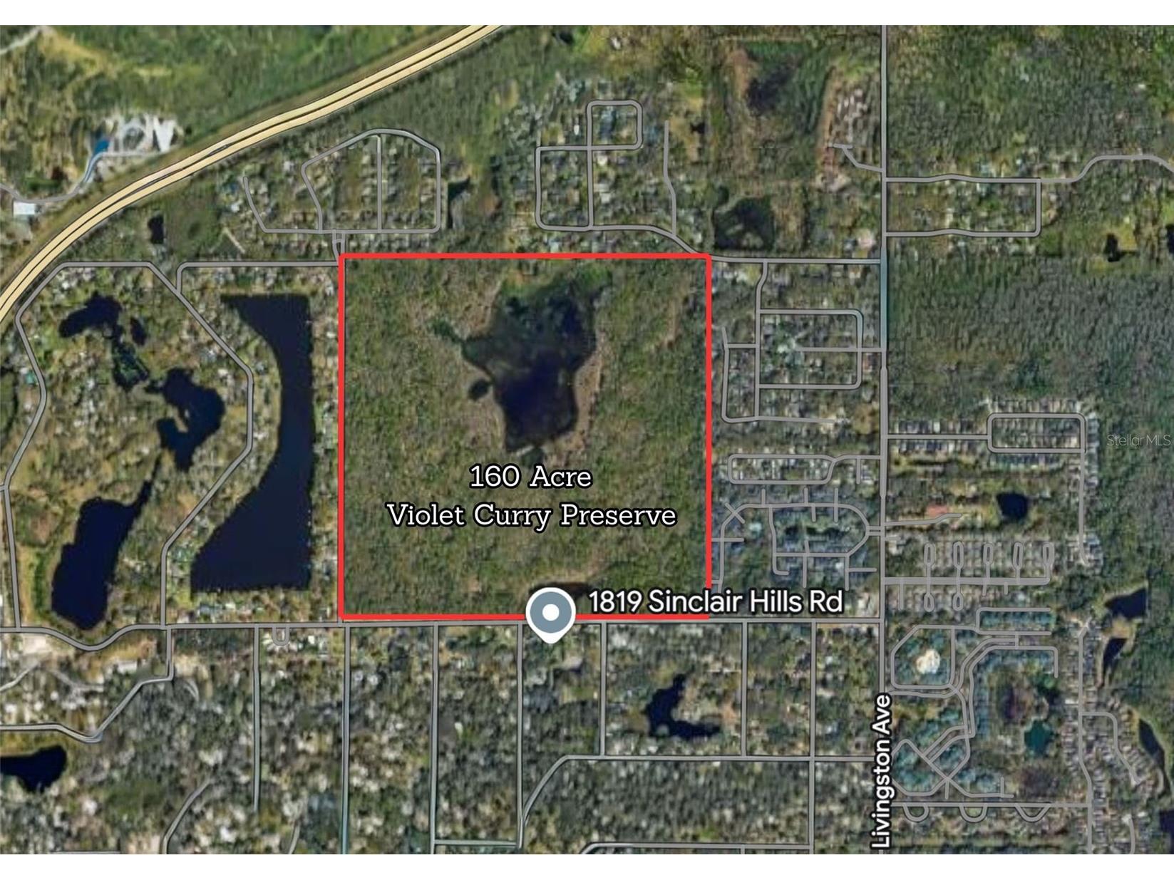1819 Sinclair Hills Road Lutz FL 33549 TB8506871 image7