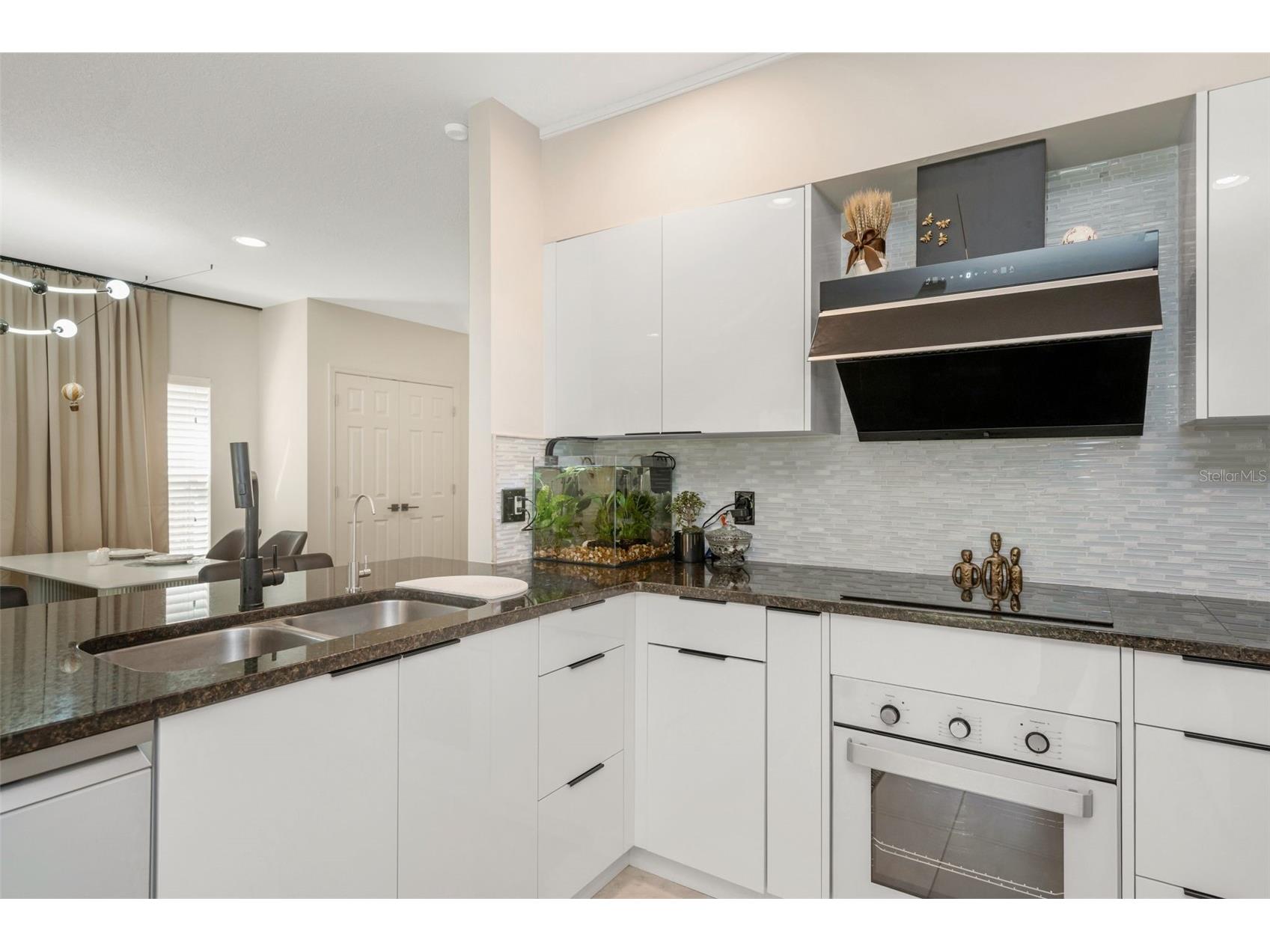 1819 Sommarie Way Tarpon Springs FL 34689 W7884743 image19