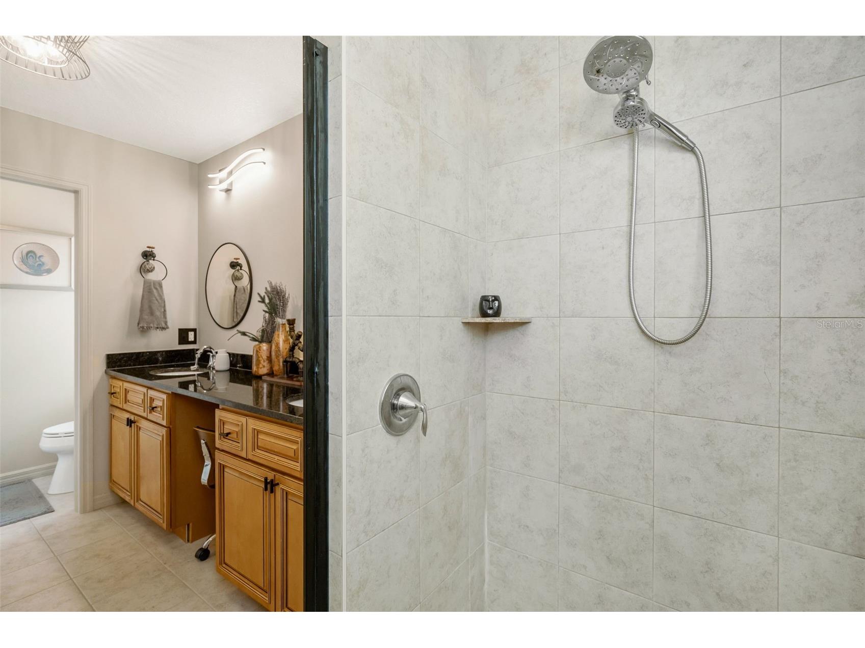 1819 Sommarie Way Tarpon Springs FL 34689 W7884743 image27