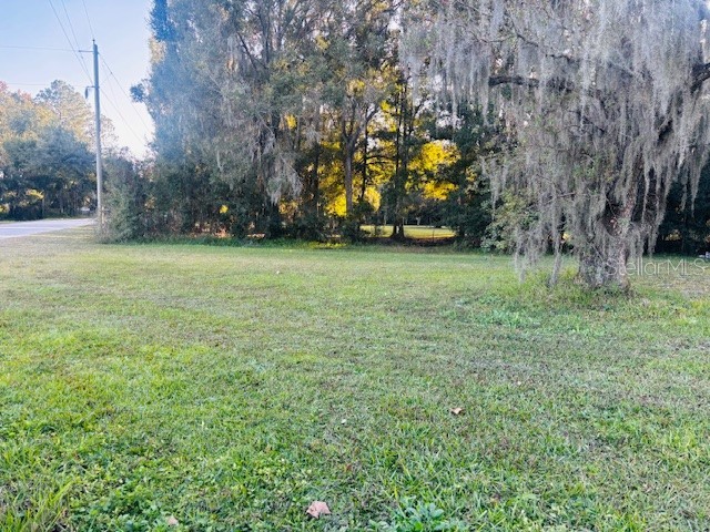 1819 Upper Road Wesley Chapel FL 33543 TB8446257 image4