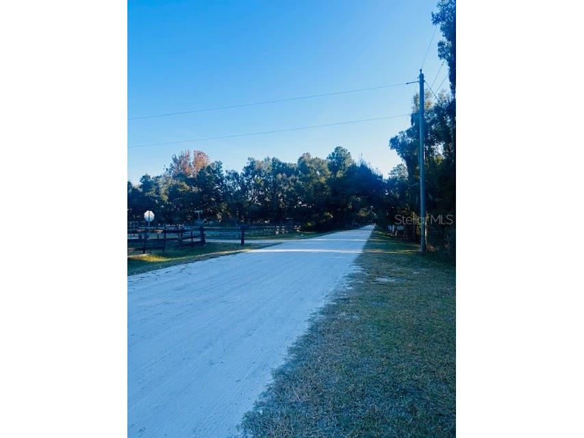 1819 Upper Road Wesley Chapel FL 33543 TB8446257 image7