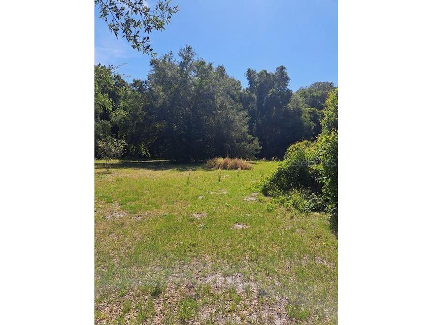 1819 Upper Road Wesley Chapel FL 33543 TB8446257 image8