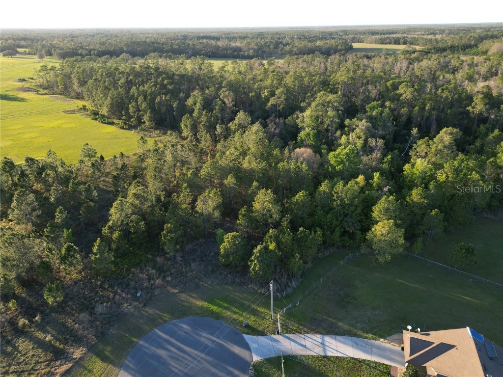 18190 Bayamon Avenue Polk City FL 33868 P4934042 image1