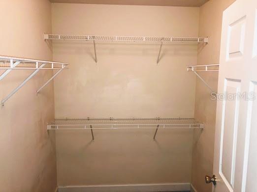 18193 Bridle Club Drive Tampa FL 33647 TB8435550 image7