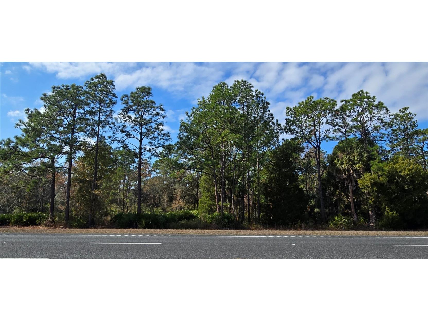 18193 Commercial Way Weeki Wachee FL 34614 W7881840 image1