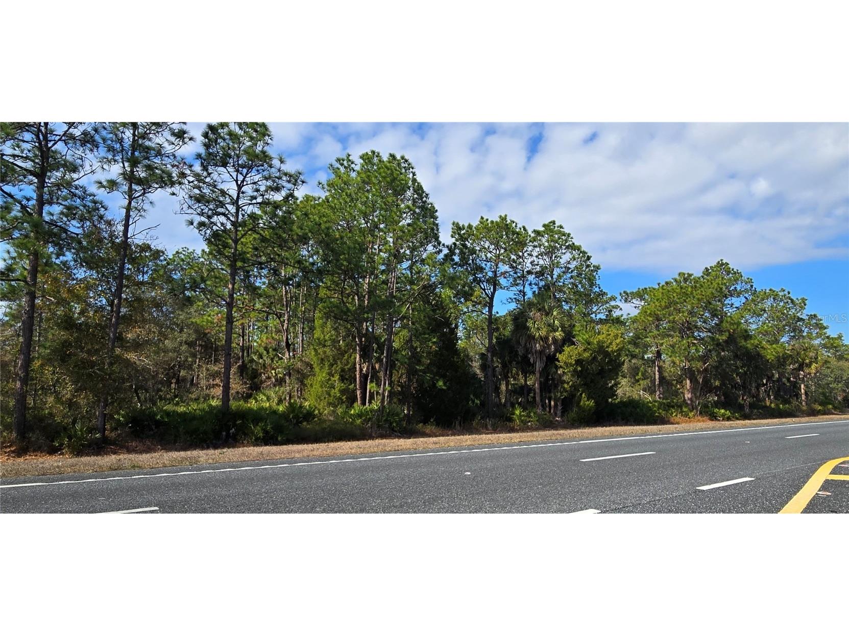 18193 Commercial Way Weeki Wachee FL 34614 W7881840 image2