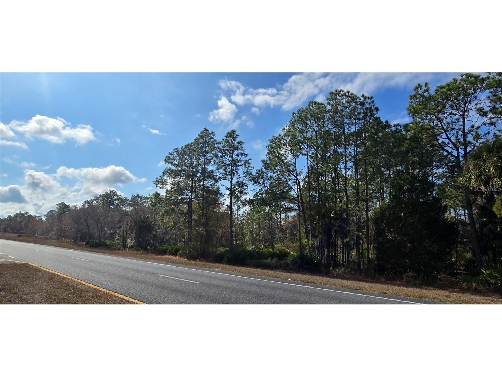 18193 Commercial Way Weeki Wachee FL 34614 W7881840 image3