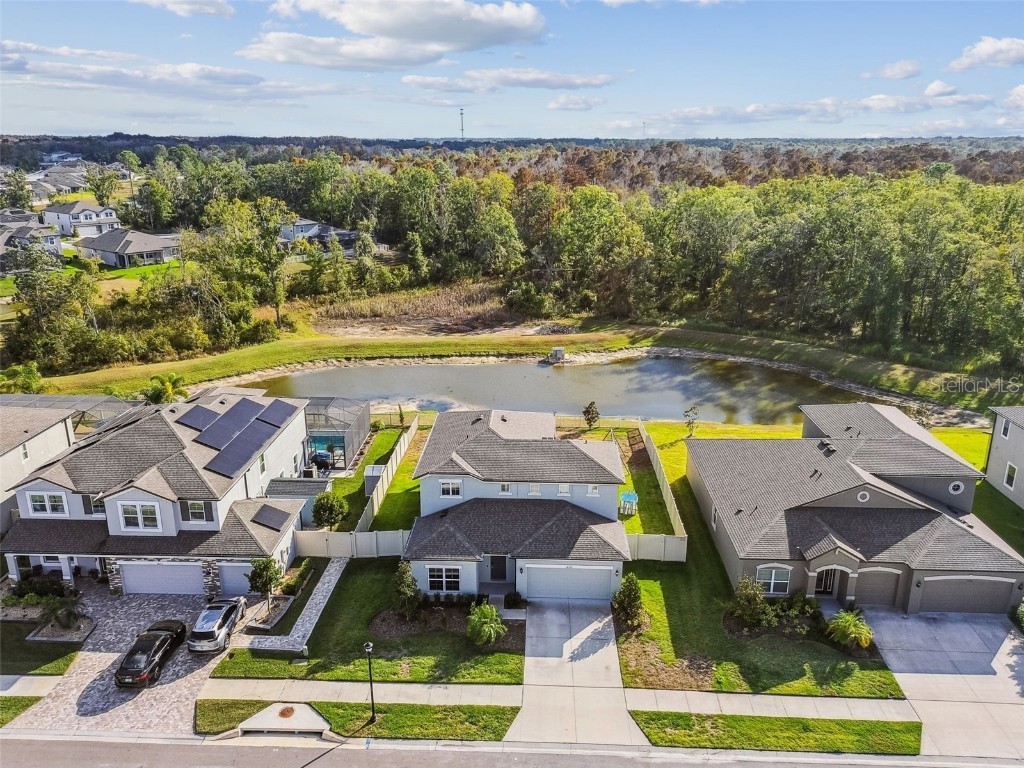 18196 Porfirio Place Spring Hill FL 34610 TB8452416 image4