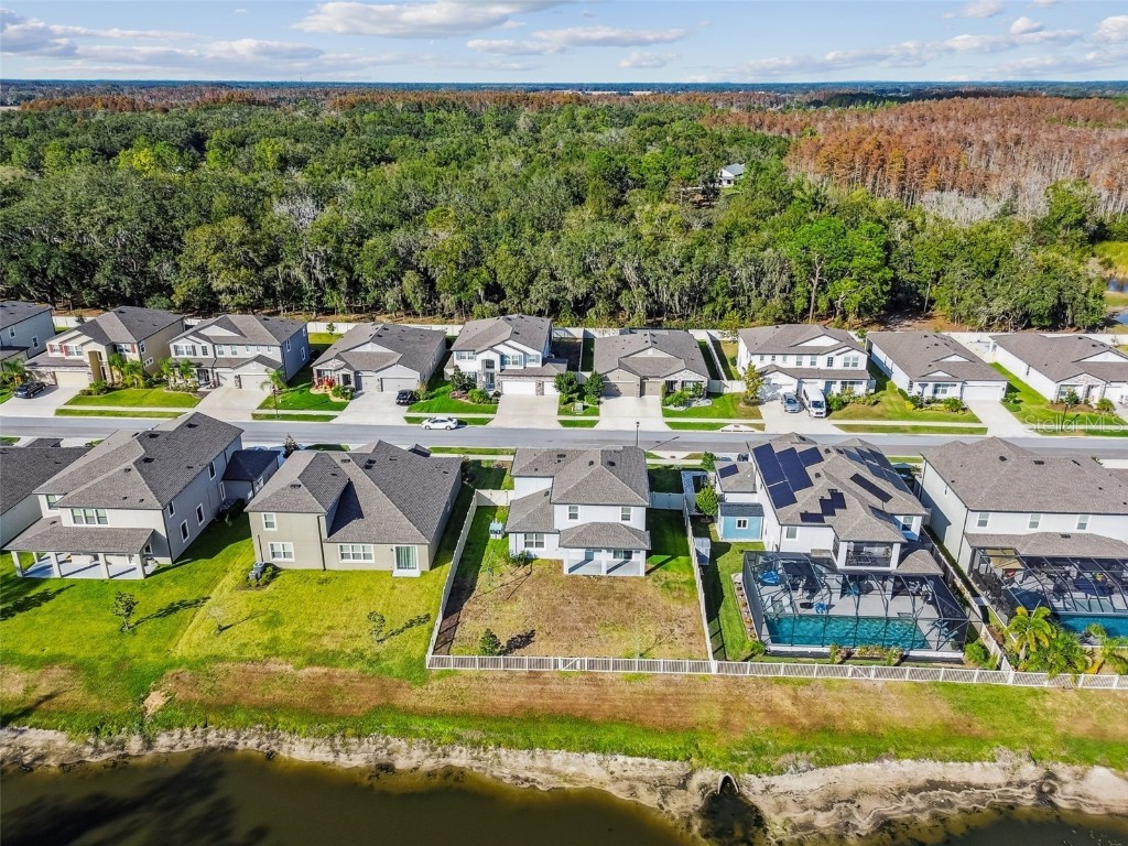 18196 Porfirio Place Spring Hill FL 34610 TB8452416 image6